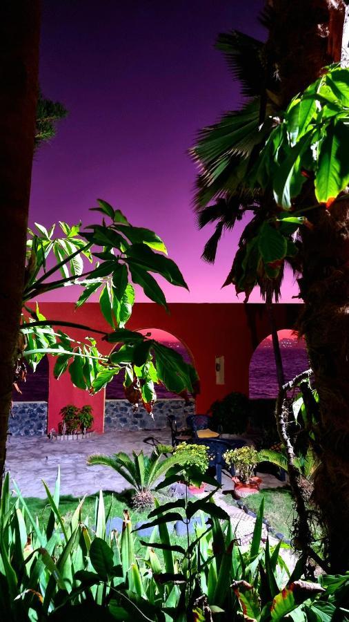 Bed and Breakfast Chez Coumbis Gorée Exterior foto